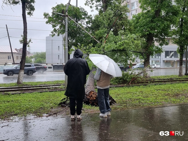 Рядом с деревьями в такую погоду находиться очень опасно | Источник: Роман Данилкин / 63.RU