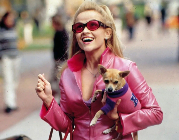 Риз Уизерспун в фильме «Блондинка в законе», 2001 | Источник: Pictorial Press Ltd / Legion Media