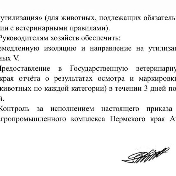 Под текстом указа стоит подпись губернатора | Источник: ЧП Пермь / Telegram