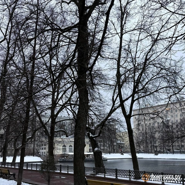 Источник: Читатель «Фонтанки» Андрей