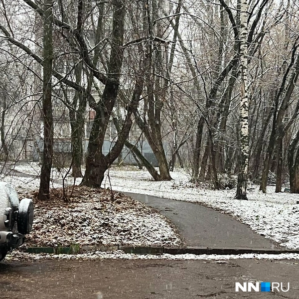 Источник: читательница NN.RU