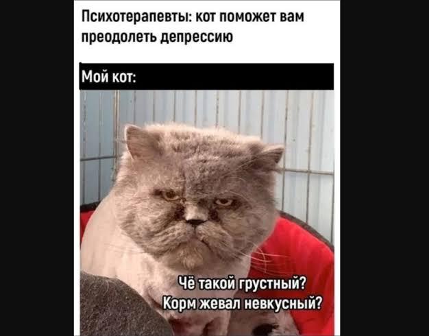 Впору заплакать, но почему-то хочется смеяться: 10 мемов про депрессию