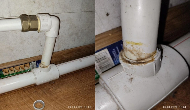 Источник: Horrorfind / T.me