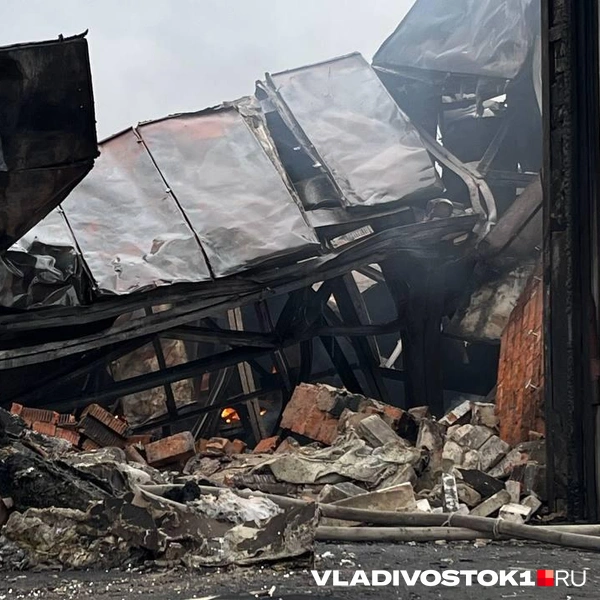 Источник: Елена Буйвол / VLADIVOSTOK1.RU