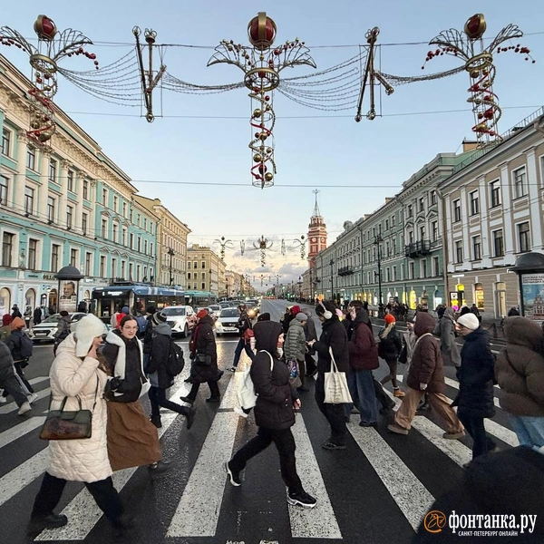 Источник: Марина Мамонтова / FONTANKA.RU