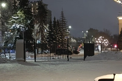 Выход из парка нашли под забором в Челябинске