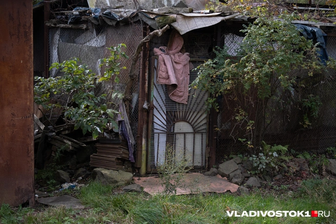 Источник: Елена Буйвол / VLADIVOSTOK1.RU