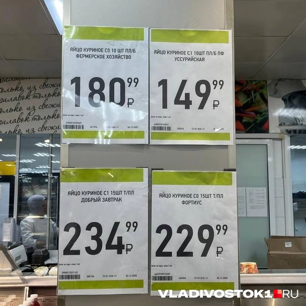 Источник: Елена Буйвол / VLADIVOSTOK1.RU