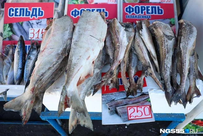Производители просят освободить их от налогов | Источник: Евгений Софийчук / NGS55.RU