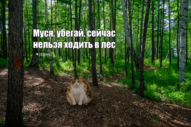 Источник: Вячеслав Палкин