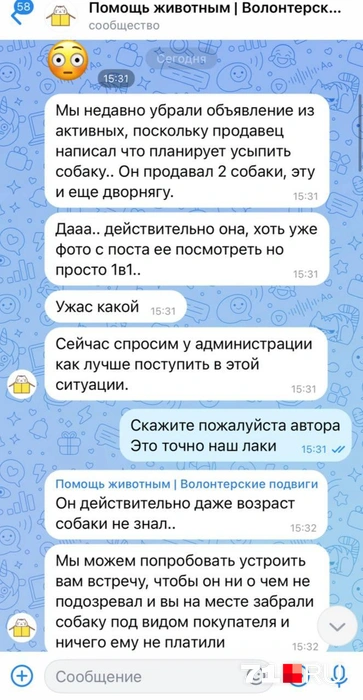 Общение шло так, что подумать негативно на «волонтеров» было трудно | Источник: личный архив Юлии