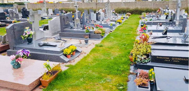 История французского садовника, который украсил непроданными цветами целое кладбище, стала вирусной (фото)