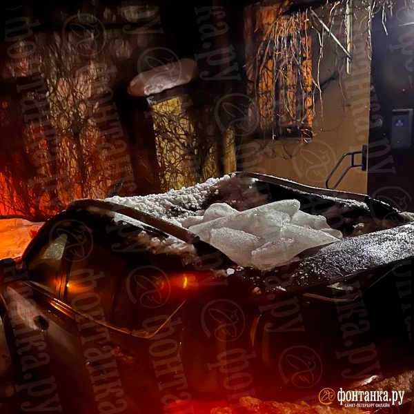 Источник: читатель «Фонтанки» 