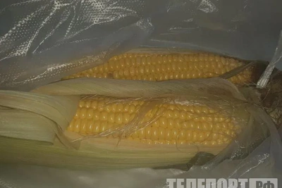 Экспорт кукурузы из Амурской области в Монголию превысил 1000 тонн