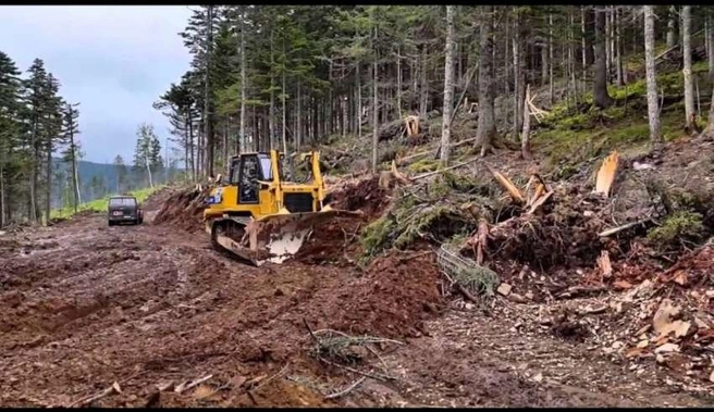 За последние 20 лет ситуация в регионе усугубилась | Источник: nk-tv.com