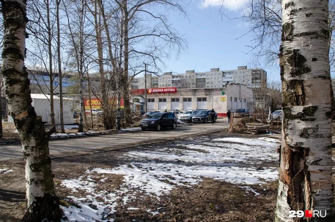 Источник: Александр Тонких