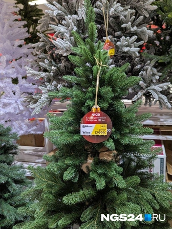 Ну почему так дорого?  | Источник: Мария Ленц / NGS24.RU 