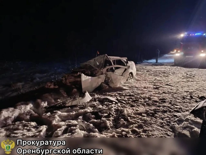 В Тюльганском районе водителя будут судить после ДТП с четырьмя погибшими | Источник: прокуратура Оренбургской области