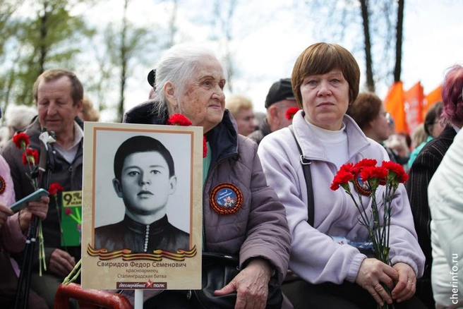 Источник: st.cherinfo.ru