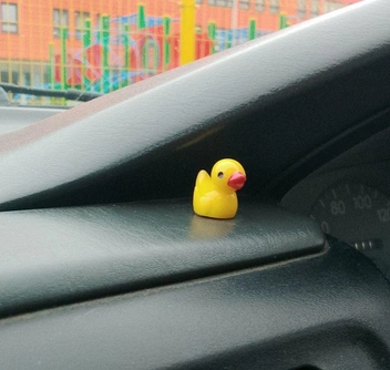 А здесь всего одна малышка | Источник: Читатель NGS24.RU