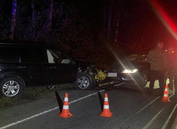 В Клепиковском районе при столкновении Nissan и Volkswagen пострадала пенсионерка | ya62.ru