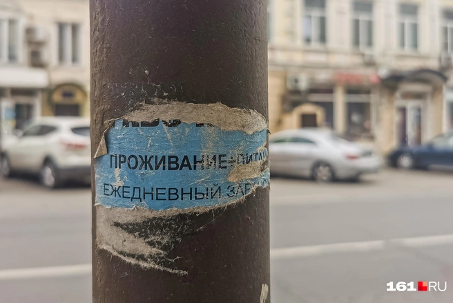 Пример такого объявления | Источник: Евгений Вдовин / 161.RU