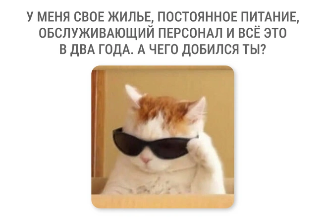 И не поспоришь | Источник: Мария Романова / Городские медиа