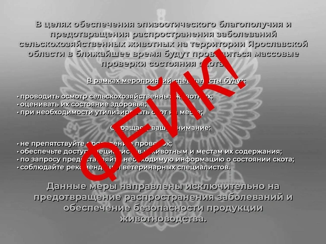 В соцсетях появляются ложные объявления о ветеринарных проверках | Источник: Государственная ветеринарная служба Ярославской области