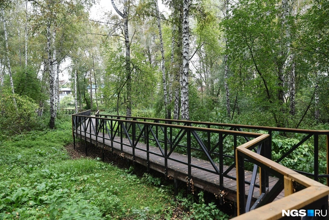 В парке сохранили уникальный природный ландшафт, но парящие дорожки обнесли забором | Источник: Александр Ощепков / NGS.RU