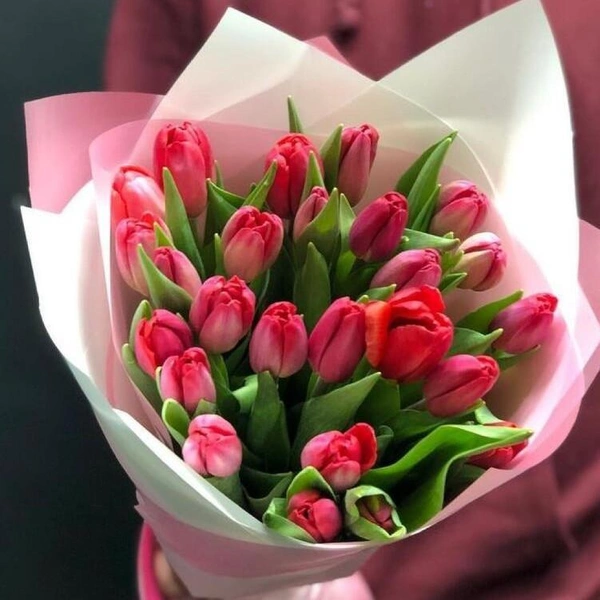 Розовые тюльпаны, 25 шт., Flowwow