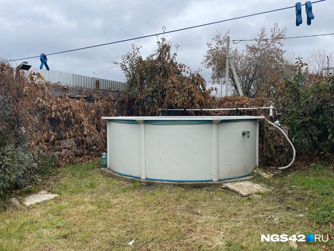 Источник: Лера Городецкая / NGS42.RU