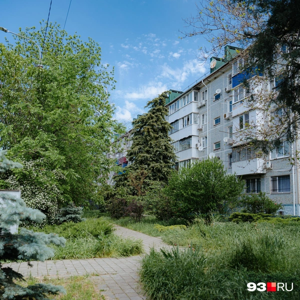 По тихим тропинкам хочется гулять | Источник: Дарья Паращенко / 93.RU