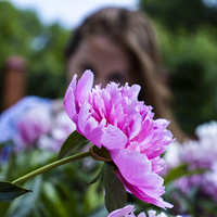 Аватарка Фиона