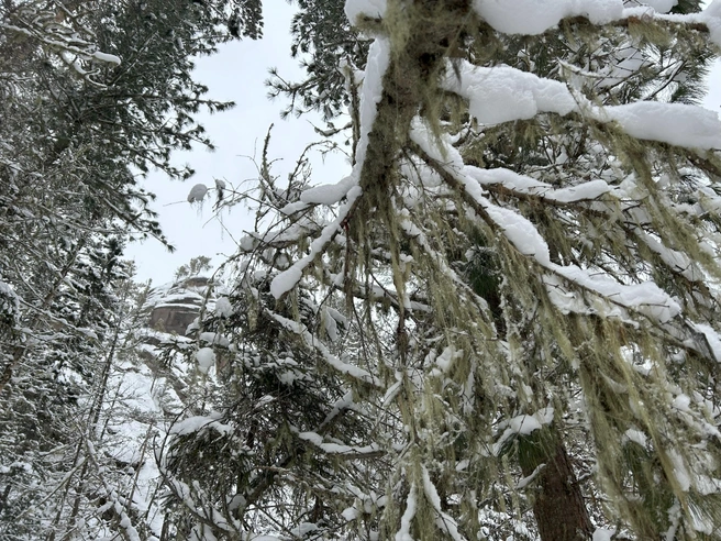 Такое на Столбах можно увидеть и в сентябре | Источник: Алексей Тайганавт