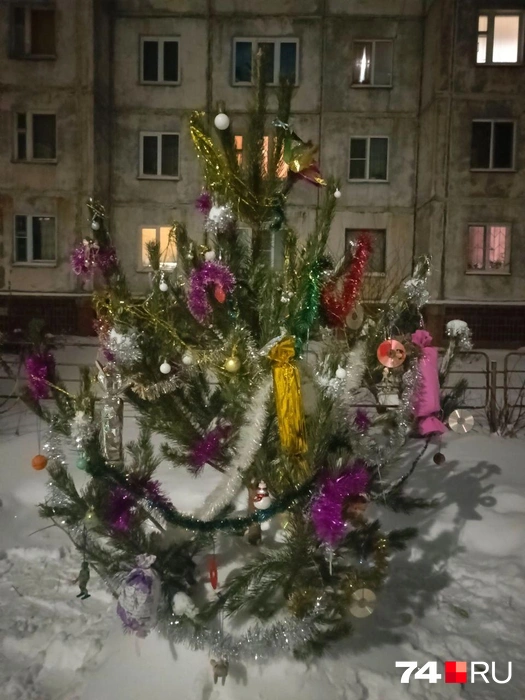 Можно вообще поставить елку во дворе, чтобы наряжали все соседи | Источник: читатель 74.RU