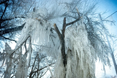 Pipe Burst Transforms Vladivostok Street into Winter Wonderland