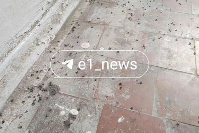 Мухи и личинки заполонили многоэтажку в Екатеринбурге