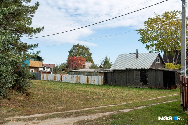 Холод начнет уходить с 7 октября | Источник: Александр Ощепков / NGS.RU