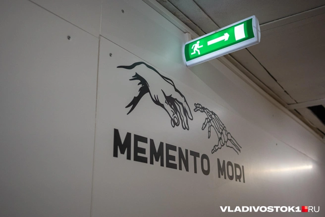 Memento mori переводится с латыни как «помни о смерти» | Источник: Елена Буйвол / VLADIVOSTOK1.RU