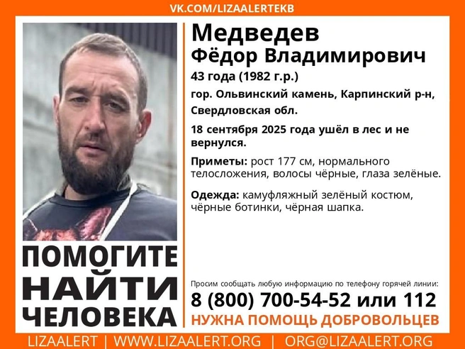 Источник: поисковой отряд «ЛизаАлерт»
