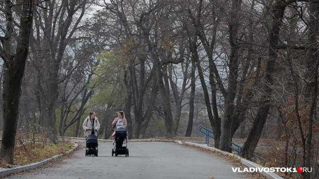 Государство продумывает разные способы потратить маткапитал | Источник: Елена Буйвол / VLADIVOSTOK1.RU