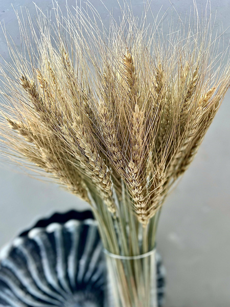 Сухоцвет «Пшеница», 50 шт., натуральная