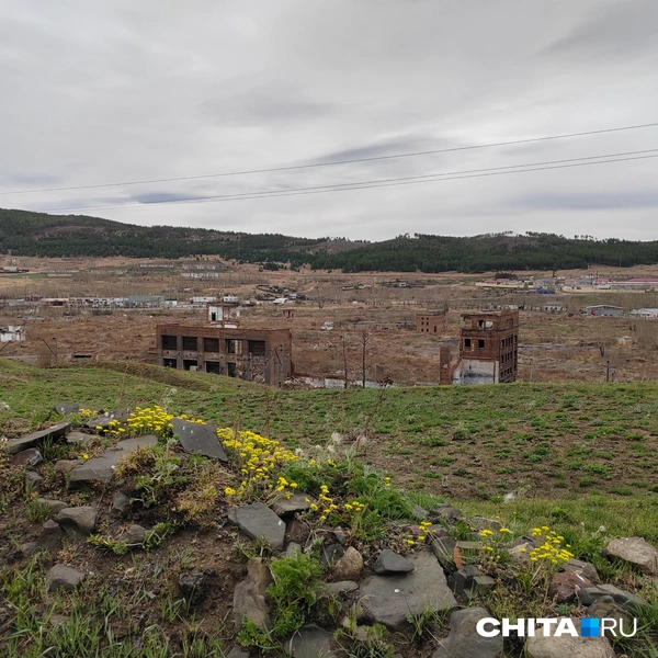 Источник: Дарья Кливенкова / CHITA.RU