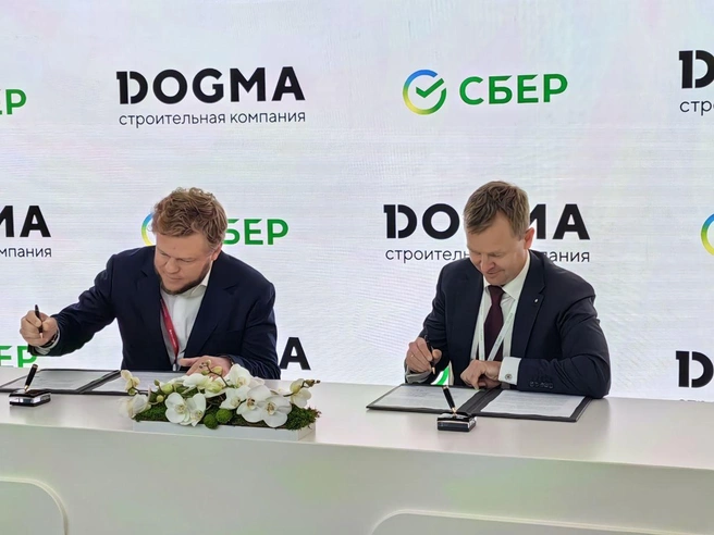 Источник: предоставлено пресс-службой ГК Dogma