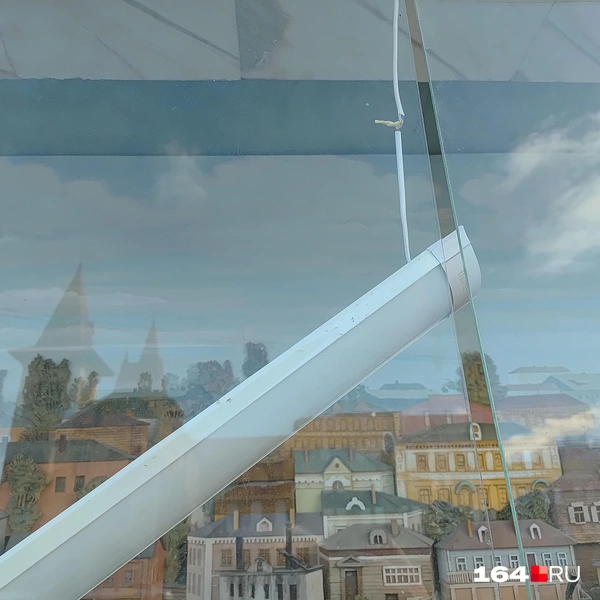 Источник: Сергей Гендин / 164.RU