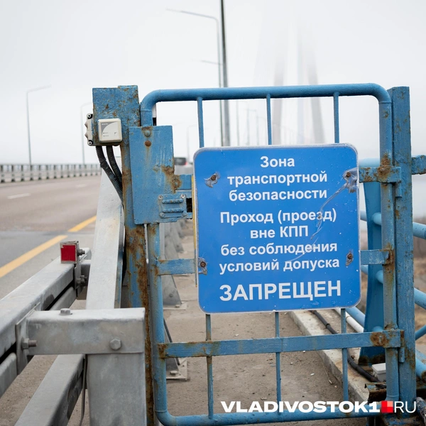 Источник: Елена Буйвол / VLADIVOSTOK1.RU