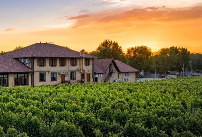 Источник: vinoterria.com