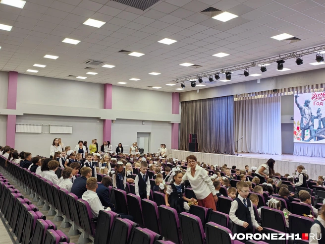 Источник: Андрей Пашинский / Voronezh1.ru