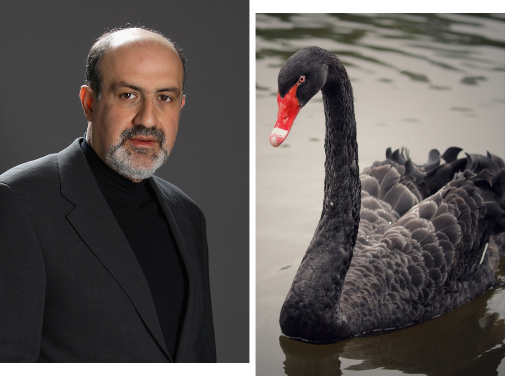 Теория черных лебедей: как жить в мире, где невозможно ничего предсказать | marieclaire.ru