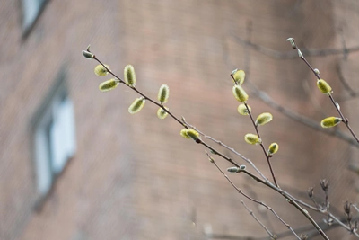 Ночные заморозки и до +18°C днем в Ставропольском крае